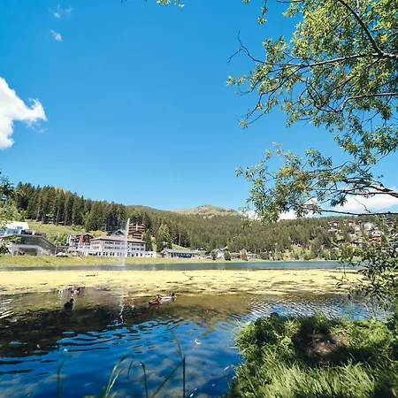 Апартаменти Padrun1-weisshornbahn-arosa Zentrum-top Lage! Ароза